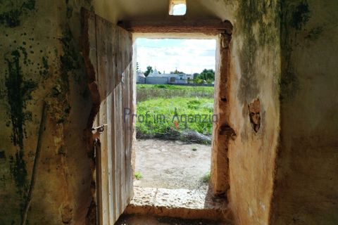 Landejendom i Ostuni, Brindisi, Ostuni - € 125.000 | Ref: 172528 - foto 6